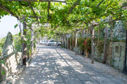 Offerte Hotel Villa Cimmentorosso | Forio | Categoria 3 stelle | Entrata Hotel Villa Cimmento Rosso-Forio-Isola d'Ischia